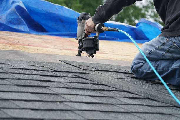 Best Commercial Roofing Services  in Thompson, ND