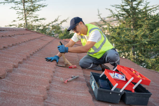Best Commercial Roofing Services  in Thompson, ND