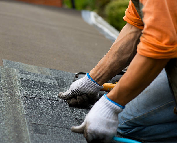 Gutter Installation and Roofing in Thompson, ND
