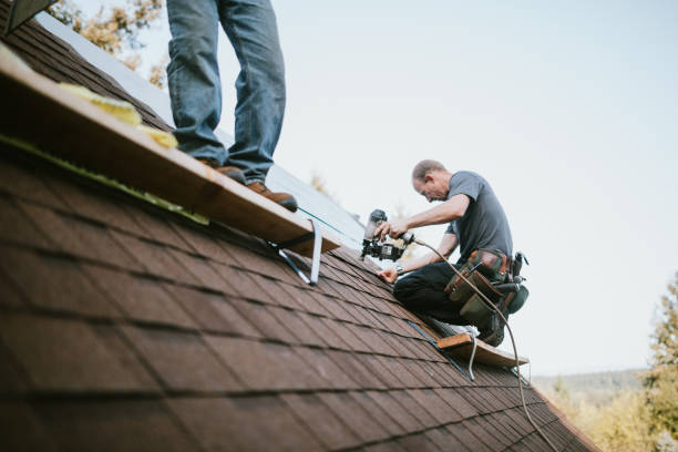 Best New Roof Installation  in Thompson, ND